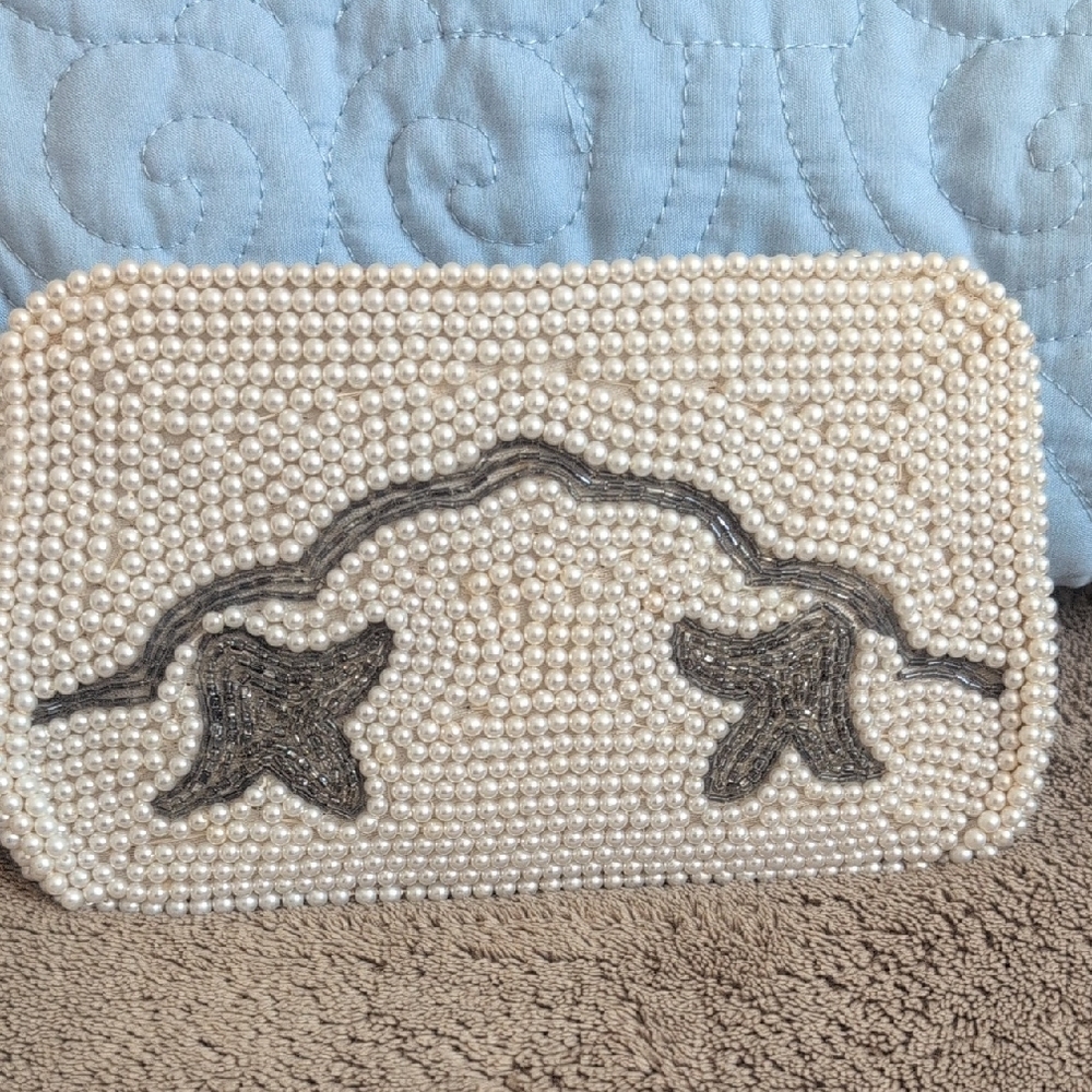 Elegant Pearl and Silver Beaded Clutch